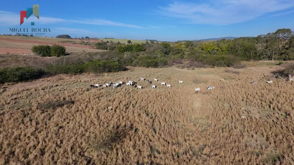 Fazenda, 61 hectares - Foto 3