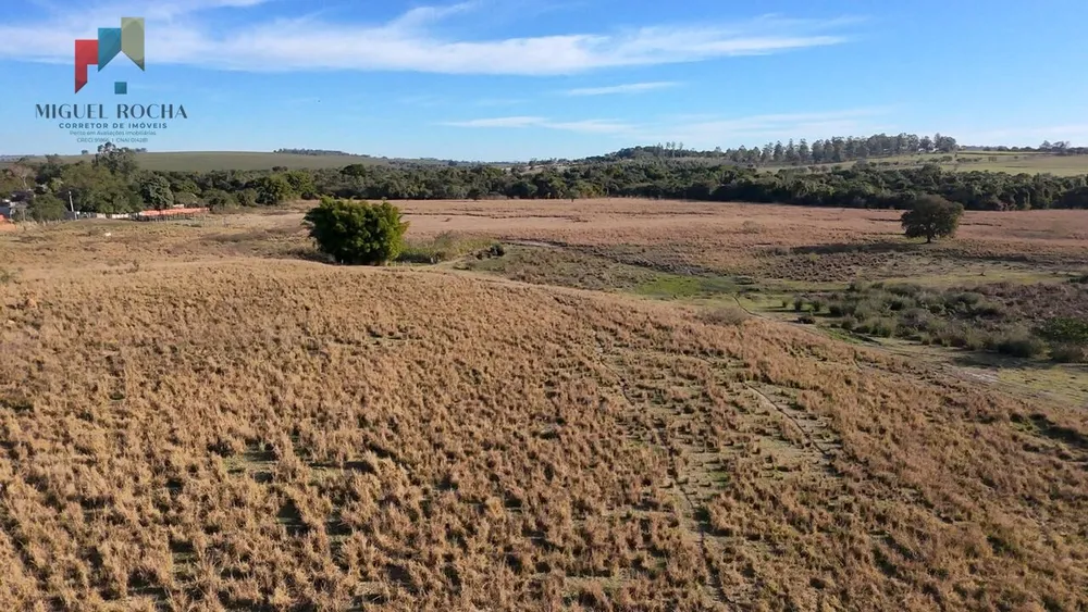 Fazenda, 61 hectares - Foto 7