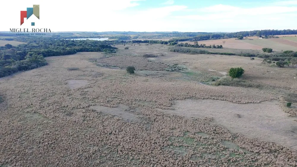 Fazenda, 61 hectares - Foto 16
