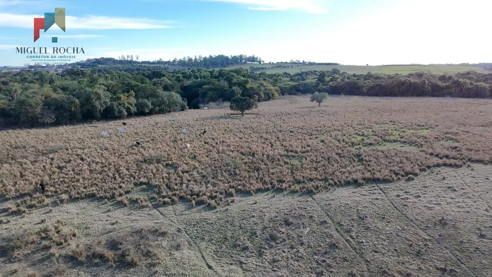 Fazenda, 61 hectares - Foto 8