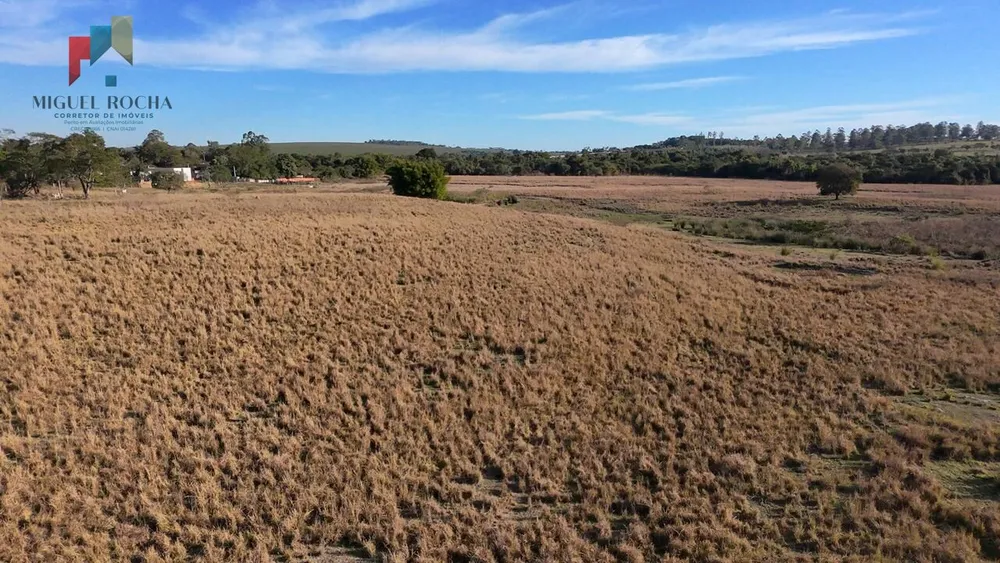Fazenda, 61 hectares - Foto 5