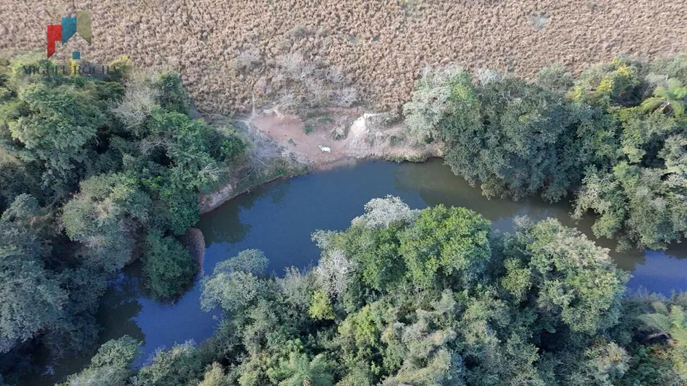Fazenda, 61 hectares - Foto 10