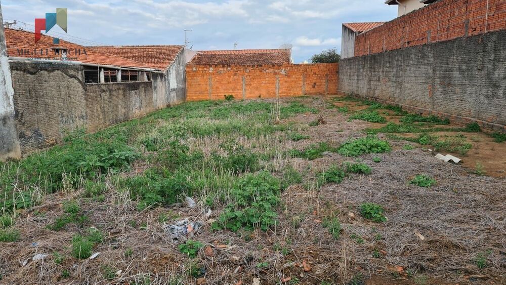 Terreno, 300 m² - Foto 3