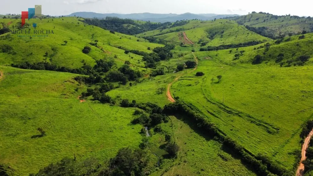 Fazenda, 528 hectares - Foto 3