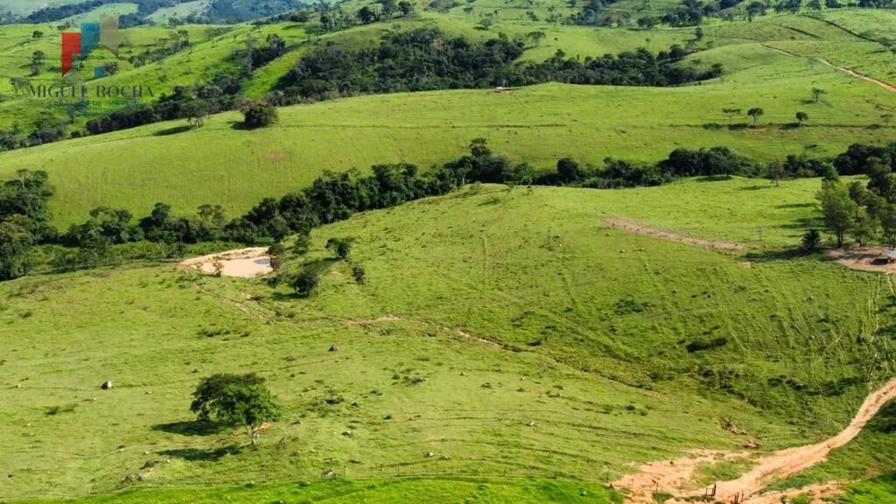 Fazenda, 528 hectares - Foto 5
