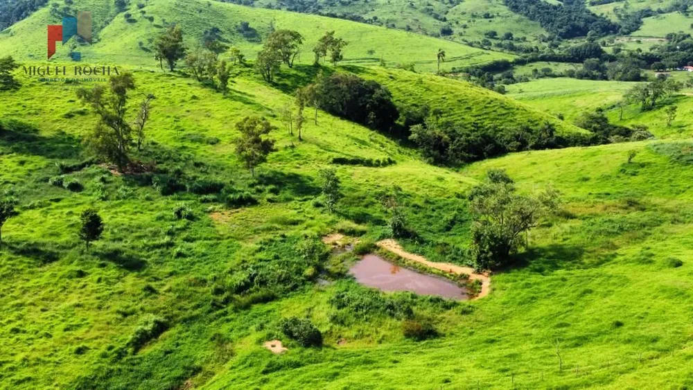 Fazenda, 528 hectares - Foto 4
