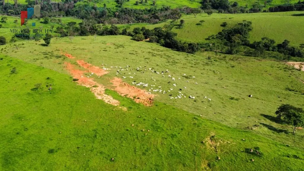 Fazenda, 528 hectares - Foto 2