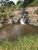 Fazenda-Sítio-Chácara, 528 hectares - Foto 4