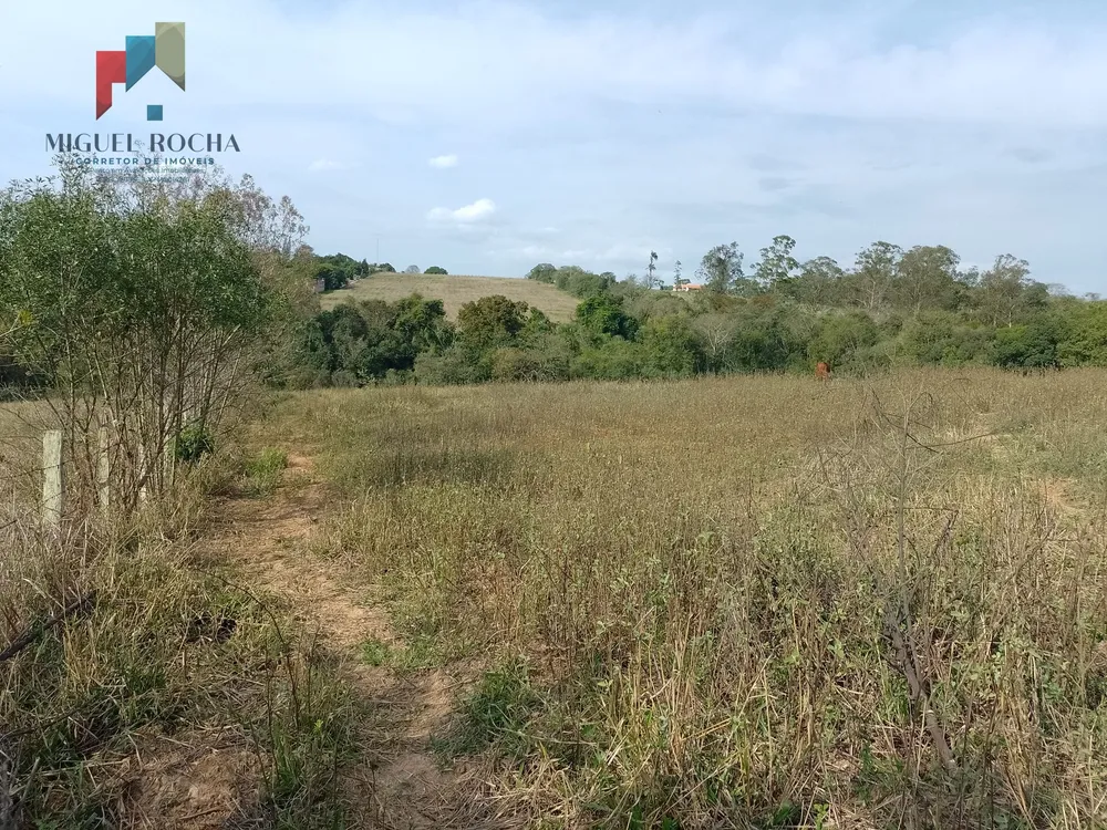 Terreno, 1 hectares - Foto 7