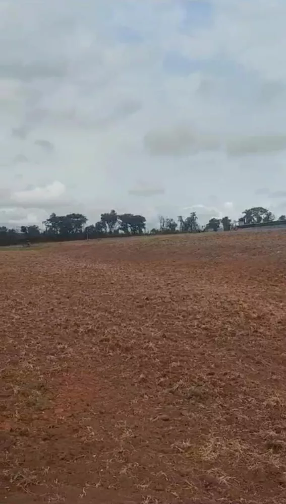 Fazenda à venda com 2 quartos, 169400m² - Foto 2