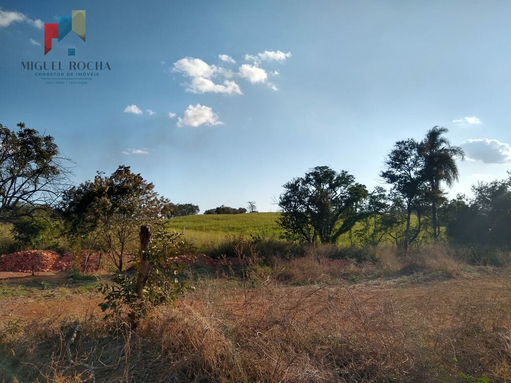 Fazenda, 44 hectares - Foto 3