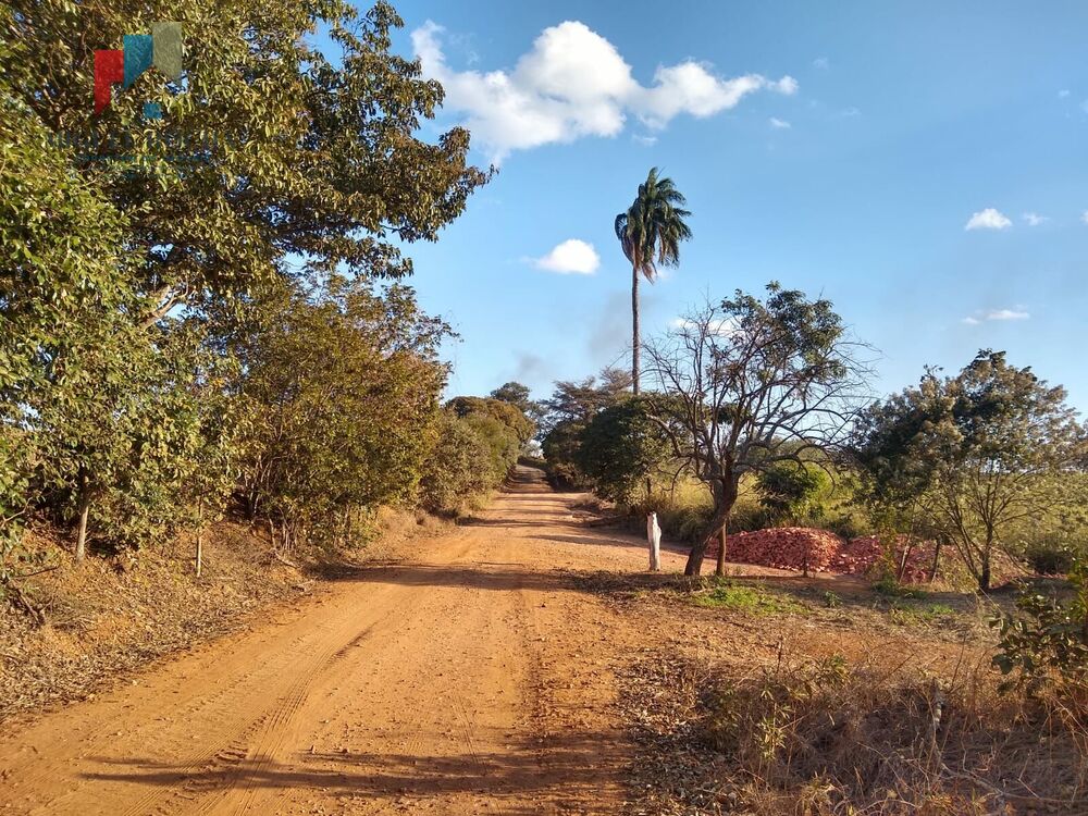 Fazenda, 44 hectares - Foto 4