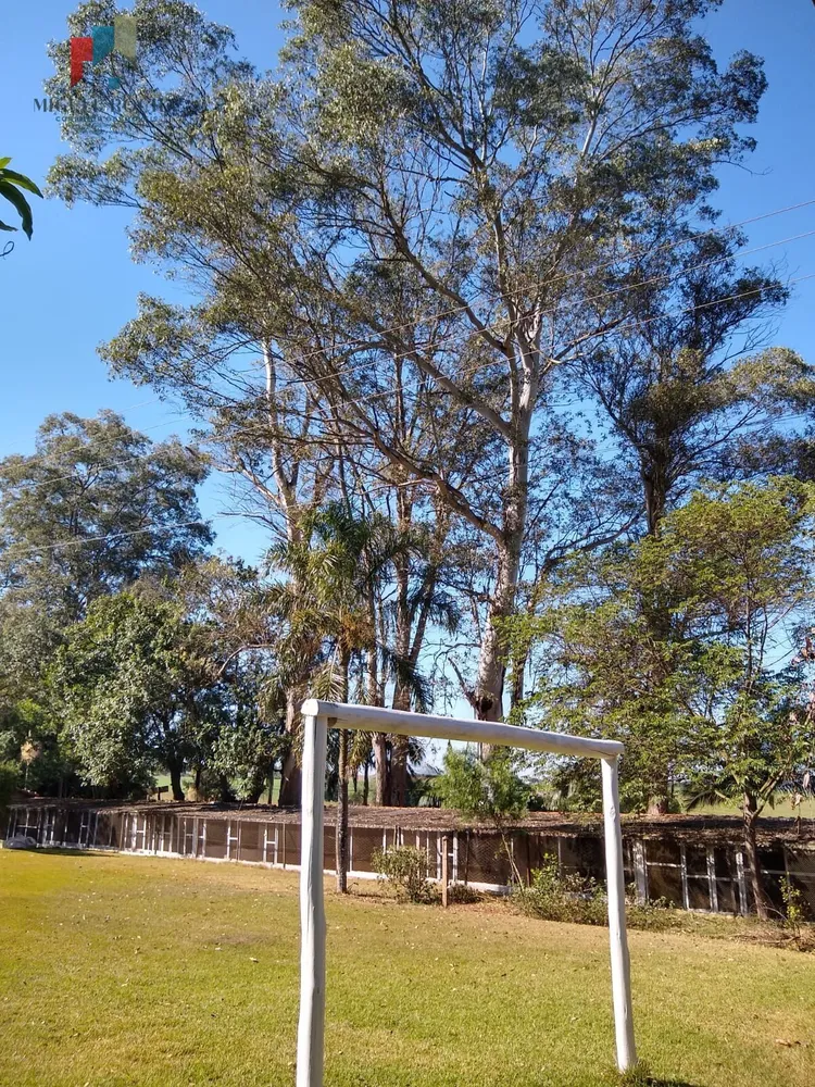 Chácara, 6 quartos, 5000 m² - Foto 13