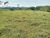 Fazenda - Foto 1