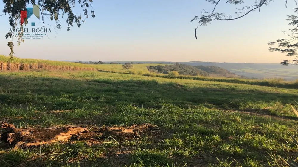 Fazenda, 300 hectares - Foto 3