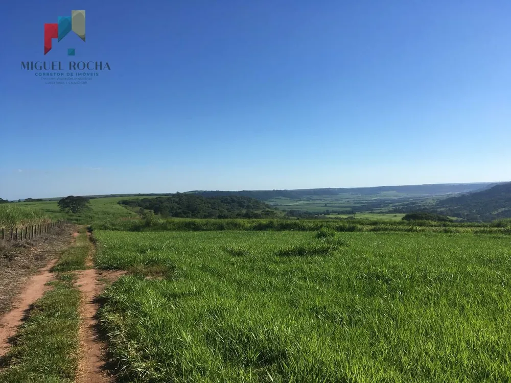 Fazenda, 300 hectares - Foto 2