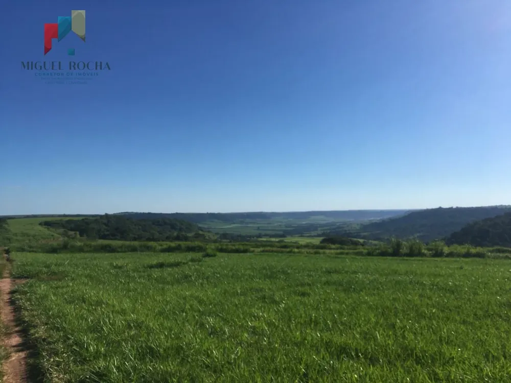 Fazenda, 300 hectares - Foto 1