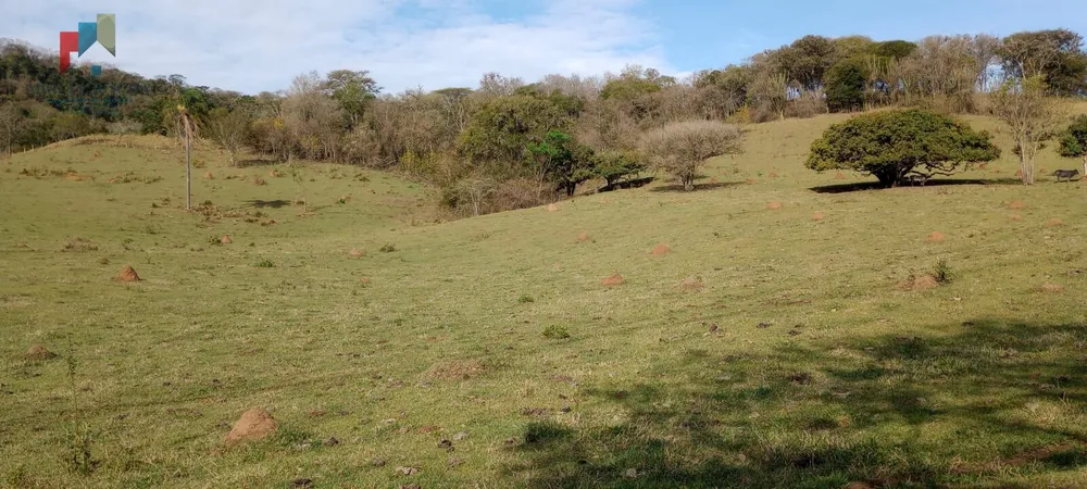 Sítio, 29 hectares - Foto 1