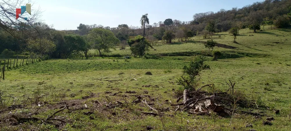 Sítio, 29 hectares - Foto 6