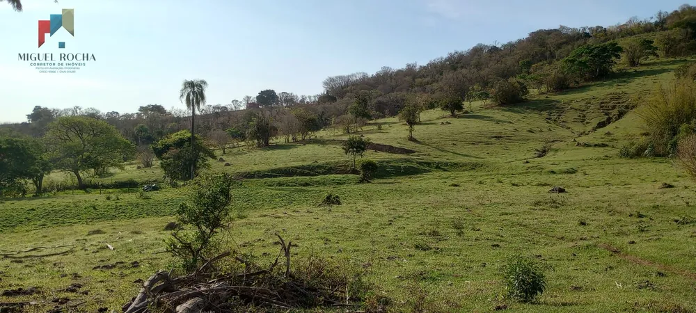 Sítio, 29 hectares - Foto 4