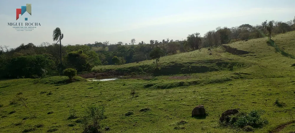 Sítio, 29 hectares - Foto 3