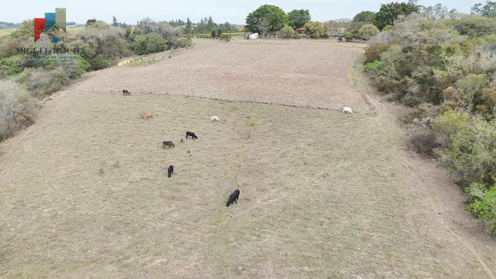 Sítio, 2 quartos, 32 hectares - Foto 14