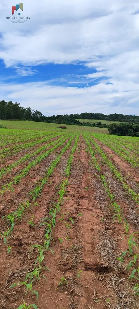 Fazenda, 182 hectares - Foto 4