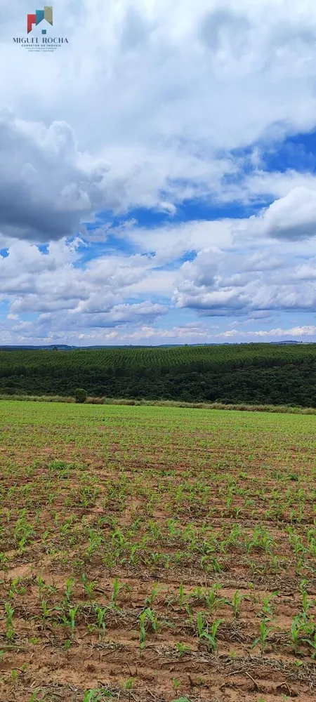 Fazenda, 182 hectares - Foto 2