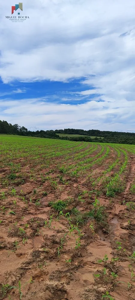 Fazenda, 182 hectares - Foto 11