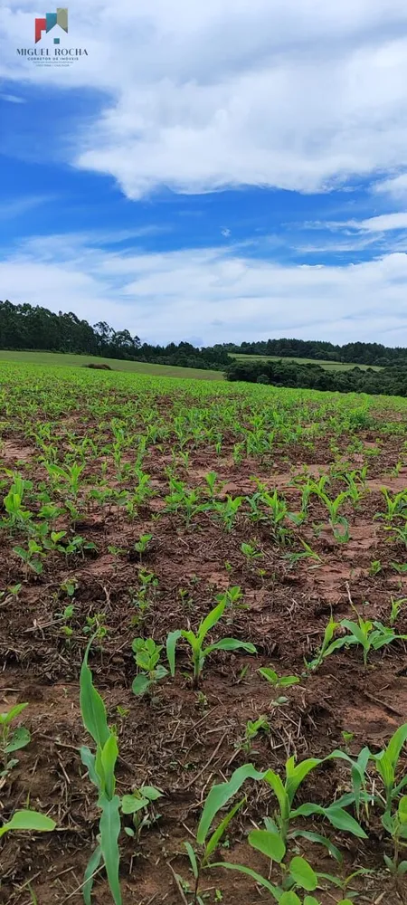 Fazenda, 182 hectares - Foto 10