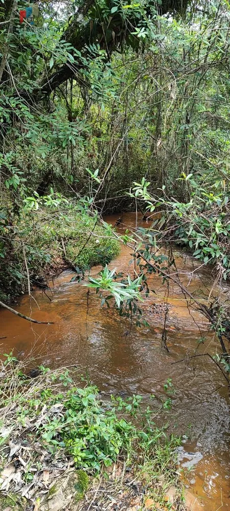 Fazenda, 182 hectares - Foto 12