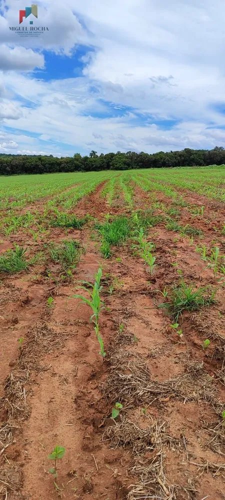 Fazenda, 182 hectares - Foto 1
