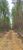 Fazenda, 182 hectares - Foto 4