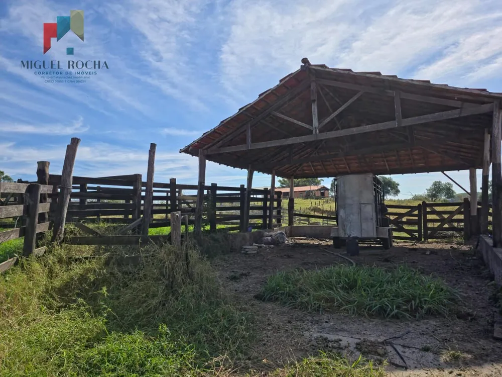 Sítio, 3 quartos, 29 hectares - Foto 11