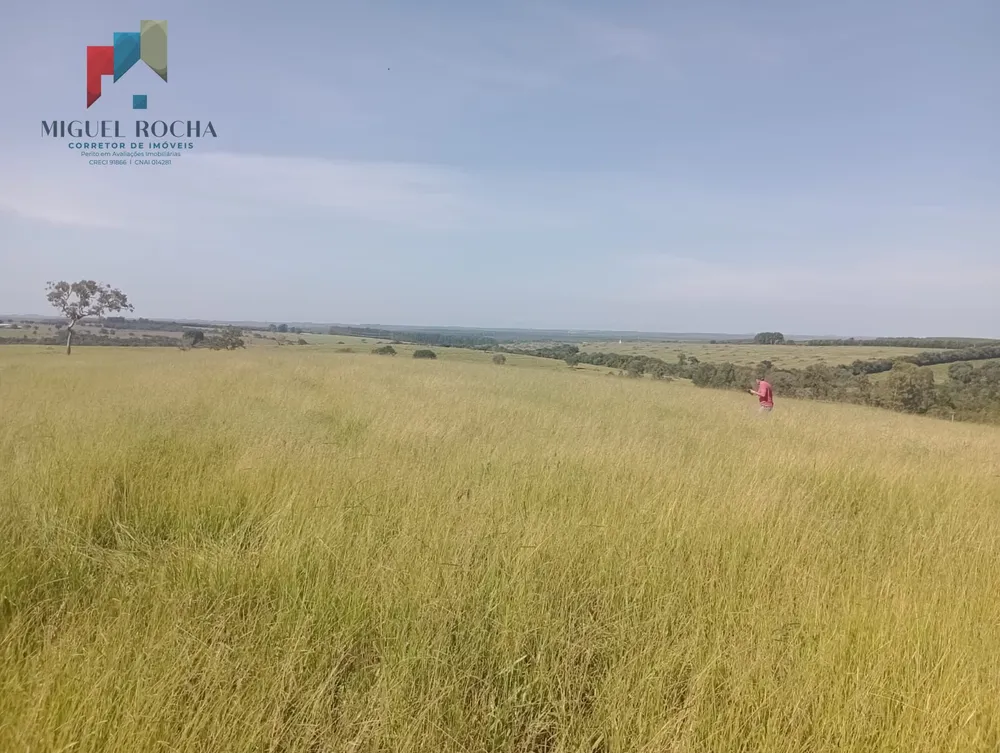 Fazenda, 247 hectares - Foto 3