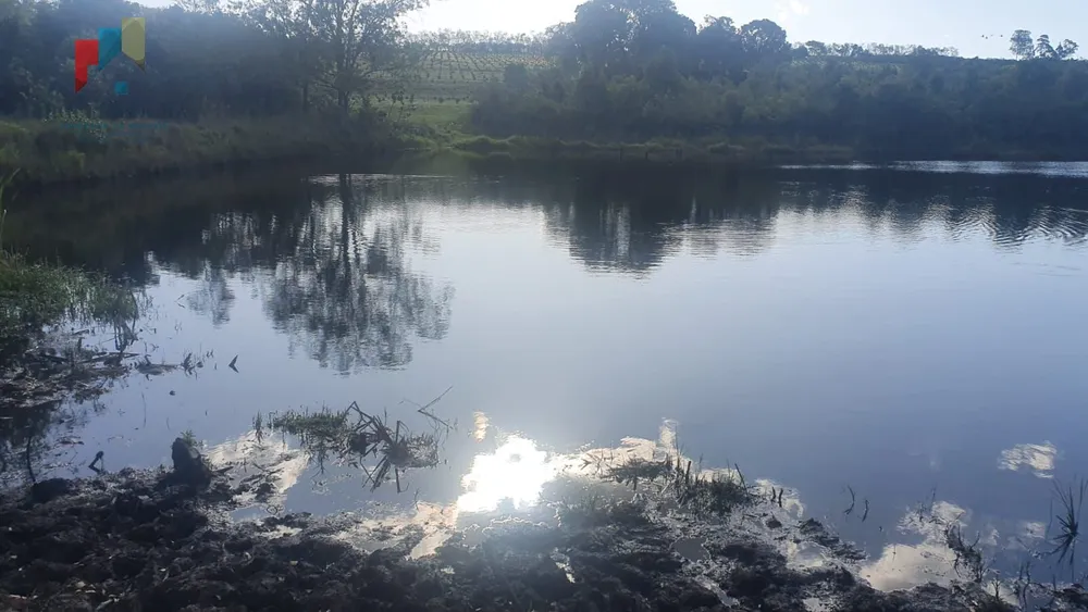 Fazenda, 247 hectares - Foto 17