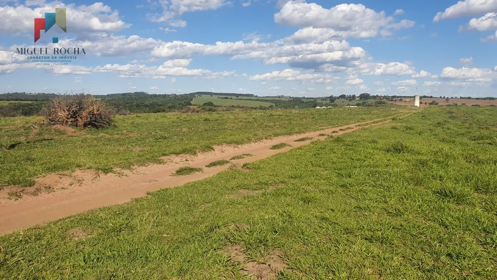 Fazenda, 247 hectares - Foto 12
