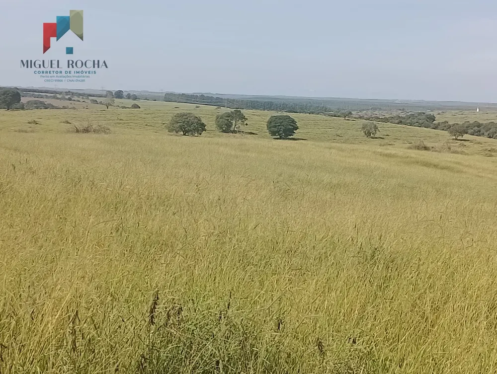 Fazenda, 247 hectares - Foto 5