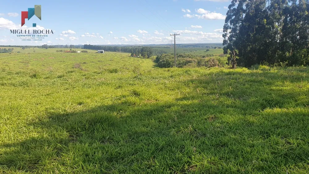Fazenda, 247 hectares - Foto 9