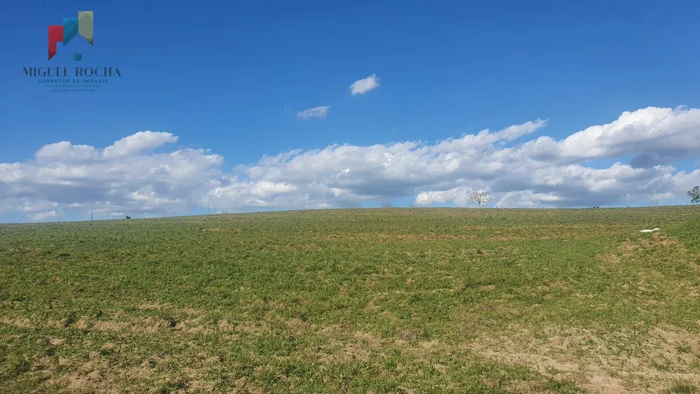 Fazenda, 247 hectares - Foto 13