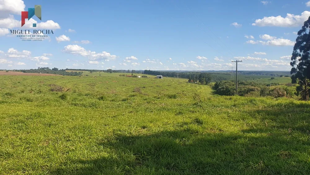Fazenda, 247 hectares - Foto 14