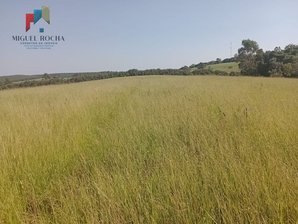 Fazenda, 247 hectares - Foto 1