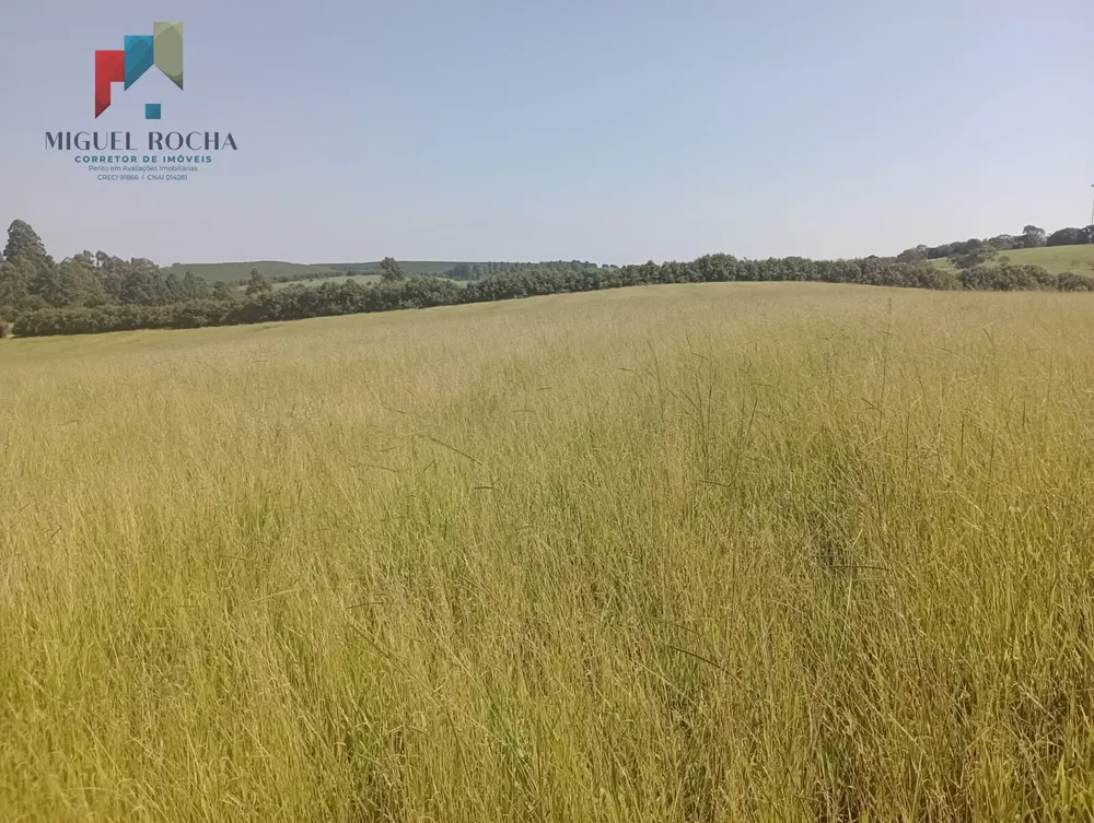 Fazenda, 247 hectares - Foto 8