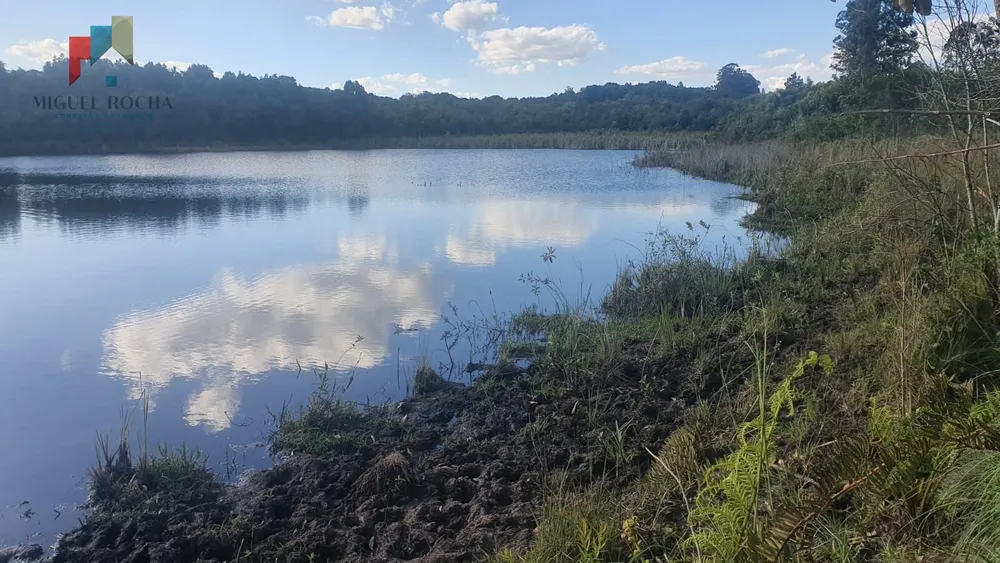 Fazenda, 247 hectares - Foto 16