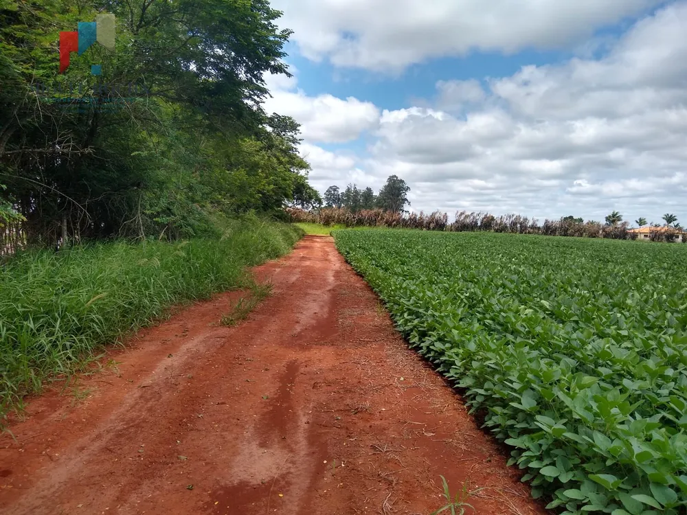 Sítio, 48 hectares - Foto 4