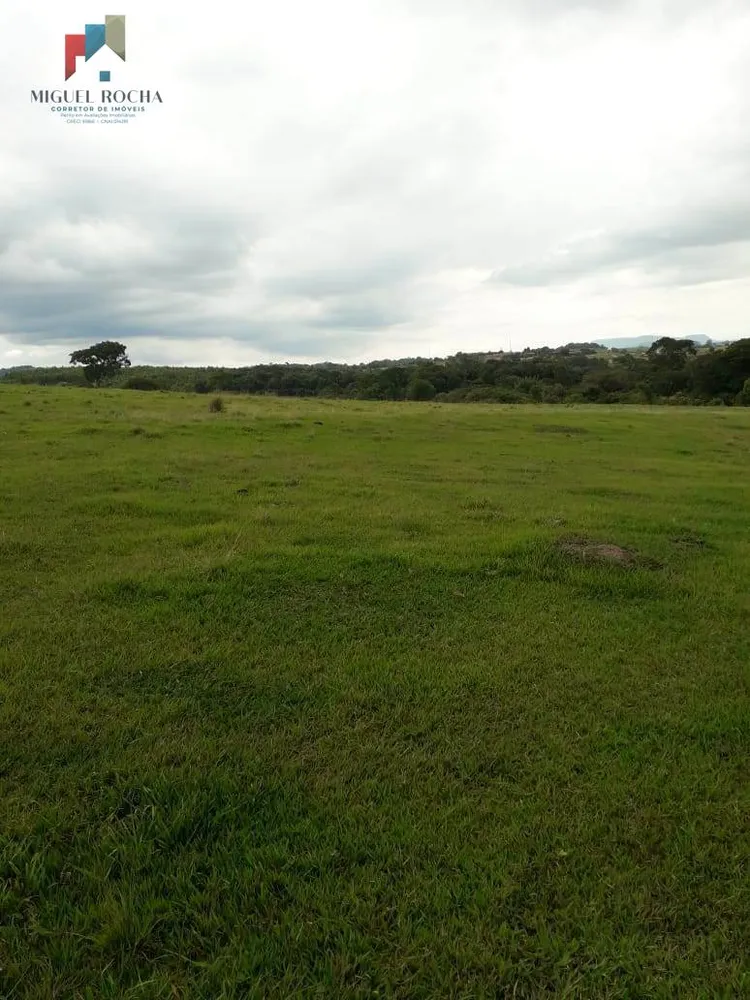Terreno, 6 hectares - Foto 7