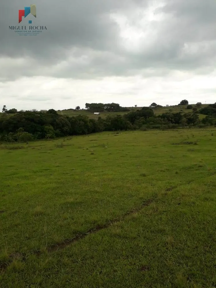 Terreno, 6 hectares - Foto 3