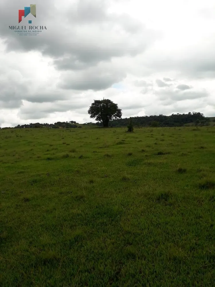 Terreno, 6 hectares - Foto 11