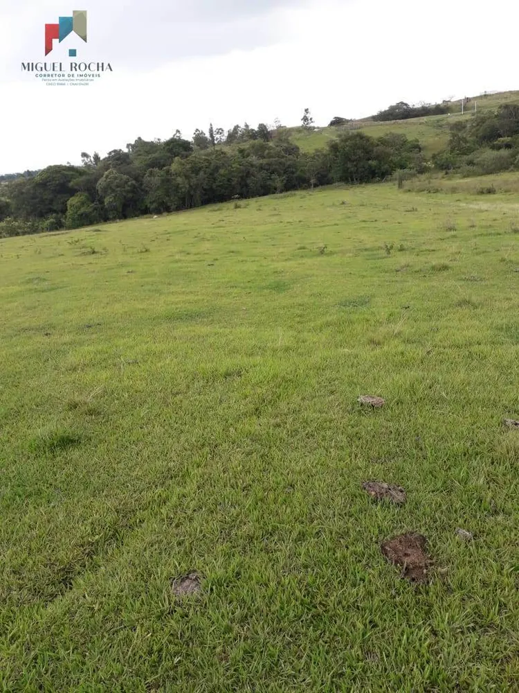 Terreno, 6 hectares - Foto 8