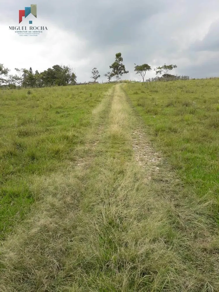 Terreno, 6 hectares - Foto 9